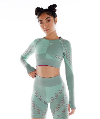 Dámské Long Sleeve Gymshark Wtflex Cyborg Seamless Blankyt Růžové Blankyt | CZ 3495NWY